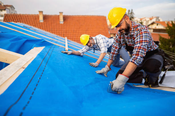 Best Gutter Installation and Roofing  in Baldwin, GA